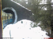 TRAIN.JPG