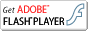 flash_player.gif